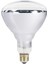 EC Shop Osram Ledvance Ledvance 250W Infrared Şeffaf Ampul E27 1