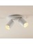Metal Modern Spor 2 Li Beyaz Mafsallı LED Spot Avize Günışığı Ampullü 1