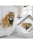 Tiger Banyo Paspas ve Tek Kanat Duş Perdesi 1X180X200 Set 1