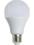 CT-4274 15W/3200K LED Ampul (GÜNIŞIĞI-6ADET) Cata 1