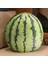 Simülasyon Hami Kavun Ananas Mangosten Mango Çilek Peluş Oyuncak Doldurulmuş Yumuşak Yastık Çocuklar Için Kız Dekor 45 Cm (Yurt Dışından) 1