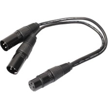 St Sports 2x Xlr 3pin Dişi - 2 Xlr Erkek Y Ayaltıcı Kablo Adaptör Dönüştürücü Kablosu 1ft (Yurt Dışından)