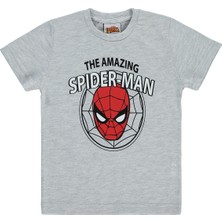 Marvel Erkek Çocuk Tişört 2-7 Yaş Grimelanj