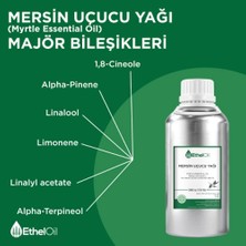 Etheloil Mersin Uçucu Yağı - Etheloil - 500 gr - %100 Saf ve Doğal Uçucu Yağ - Üretici Firma, Yüksek Kalite, Toptan Satış - Myrtle Essential Oil - Myrtus Communisl.