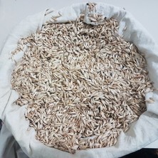 Siyez Çiftliği Atalık Siyez Buğdayı Kavuzlu Tohumluk Çiğ 2x1 kg