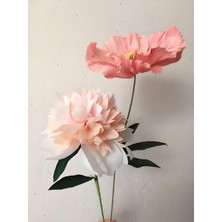 Roco Paper Co. Italyan Krapon Kağıdı NO:200 - Somon - Salmon Pink 60 Gr. 50X250 cm