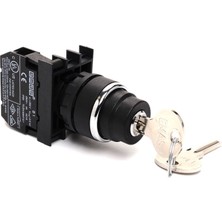 Emas B101AC30 B Serisi Plastik 2no (Iı-0-I) 60° Anahtarlı Kalıcı Tüm Pozisyonlarda Anahtarı Çıkan 22 mm Buton