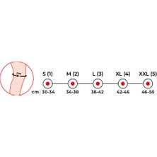 Variteks Çapraz Bantlı Ligament Dizlik 834