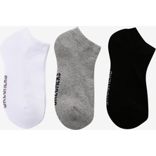 Skechers U 3 Pack Padded Low Cut Sock  Siyah Çorap S221512-971