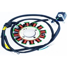 atv Ayder 250 Zh Statör Bezsiz 12 Li 32-88 3 Delik 5 Kablo