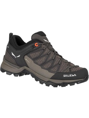 Salewa Mountain Trainer Lite Goretex Kadın Ayakkabı