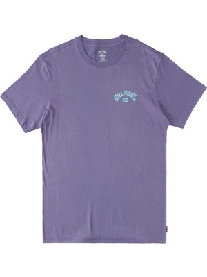 Billabong Arch Fill Ss Erkek Mor  T-Shirt ABYZT01696-SKW0