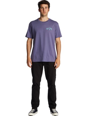 Billabong Arch Fill Ss Erkek Mor  T-Shirt ABYZT01696-SKW0