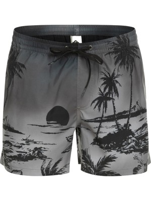 Quiksilver Erkek Volley Short Paradise 15 M Jamv Siyah