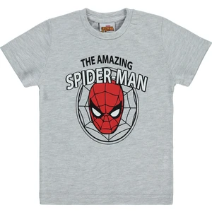 Erkek Çocuk Tişört 2-7 Yaş Grimelanj