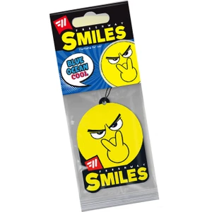 Fresh Way Dry Smile Kağıt Asma Koku Blue Ocean