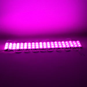 Modul LED 12V 1.5W Pembe Yanıp Sonen Parlak Tek Renk 2835 69 x 16 mm IP65 160-180LM 160 Derece Powermaster