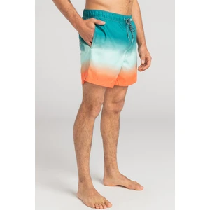 All Days Fade Erkek Volley Short C1LB26BIP2