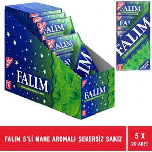 Nane Aromalı Şekersiz Sakız 5'li Paket - 20 Adet