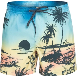 Paradise 15 M Jamv Erkek Volley Short EQYJV03999