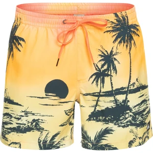 Paradise 15 M Jamv Erkek Volley Short EQYJV03999