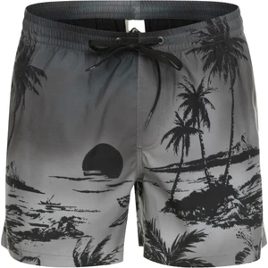 Paradise 15 M Jamv Erkek Volley Short EQYJV03999