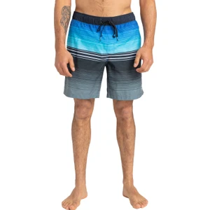 All Day Htr Stripe  Lb Erkek Çok Renkli Deniz Şortu EBYJV00103-BLU