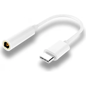 JH-022 Type-C Aux Çevirici 3.5 mm Çevirici Otg