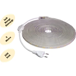 Hortum Şerit LED 220 Volt  Su Geçirmez Fiş Dahil Metrede 68 LED 5730 Günışığı 5 Metre