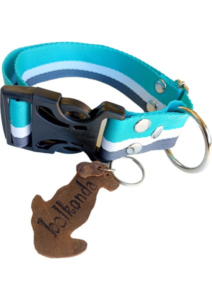 Köpek boyun tasması yumuşak sık dokuma renkli kolon kalın destekli plastik klips orta ırk genişlik:3,5cm boyun ölçüsü:24-46cm dog collar T3-15 fiyatları