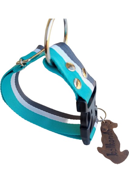 Köpek boyun tasması yumuşak sık dokuma renkli kolon kalın destekli plastik klips orta ırk genişlik:3,5cm boyun ölçüsü:24-46cm dog collar T3-15 indirimleri
