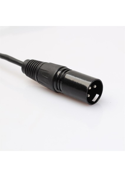 2x Xlr 3pin Dişi - 2 Xlr Erkek Y Ayaltıcı Kablo Adaptör Dönüştürücü Kablosu 1ft (Yurt Dışından)