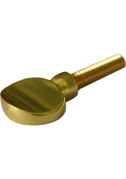 Tenor Saksafon Klarnet Için Pirinç Saksafon Boyun Alıcısı Sıkma Vidası (Yurt Dışından) fırsatları