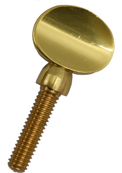 Tenor Saksafon Klarnet Için Pirinç Saksafon Boyun Alıcısı Sıkma Vidası (Yurt Dışından) indirimleri