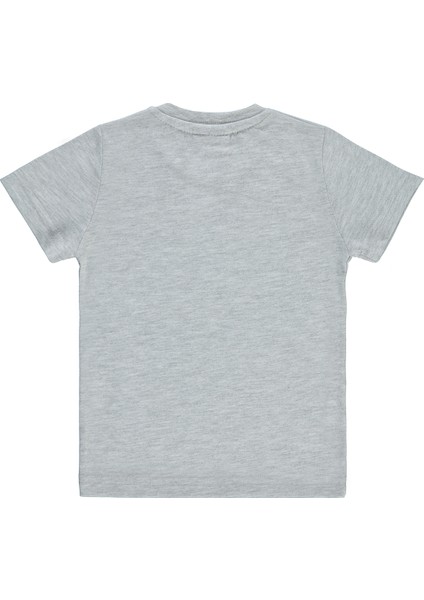 Erkek Çocuk Tişört 2-7 Yaş Grimelanj fiyatları