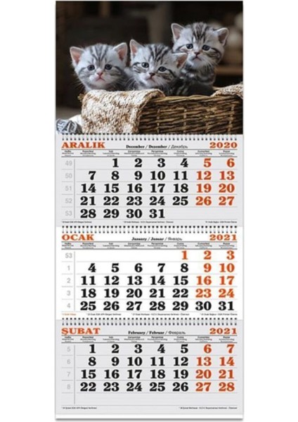 Keskin 3 Aylık Spiralli Denizci Takvimi Kediler