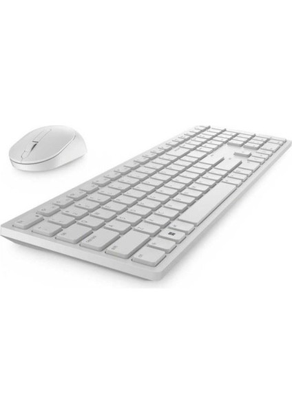 Pro Kablosuz Klavye Mouse Set KM5221W Turkish Qwerty White