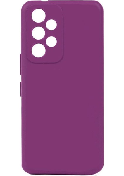 Samsung Galaxy A53 5g Kılıf Biye Yumuşak Silikon Case