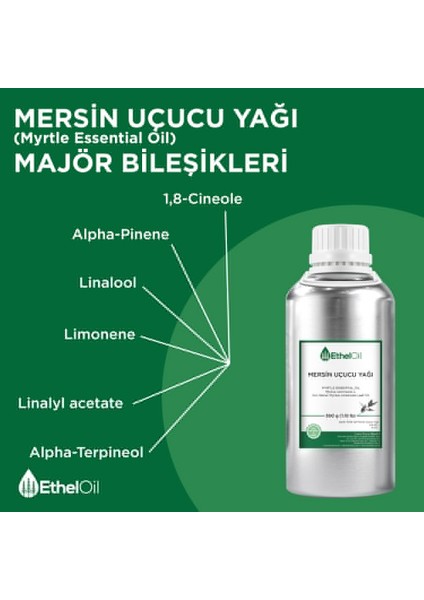 Mersin Uçucu Yağı - Etheloil - 500 gr - %100 Saf ve Doğal Uçucu Yağ - Üretici Firma, Yüksek Kalite, Toptan Satış - Myrtle Essential Oil - Myrtus Communisl.