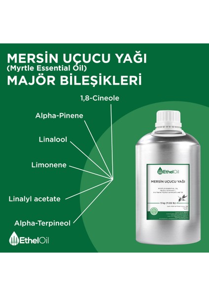 Mersin Uçucu Yağı - Etheloil - 5 kg - %100 Saf ve Doğal Uçucu Yağ - Üretici Firma, Yüksek Kalite, Toptan Satış - Myrtle Essential Oil - Myrtus Communisl. fırsatları
