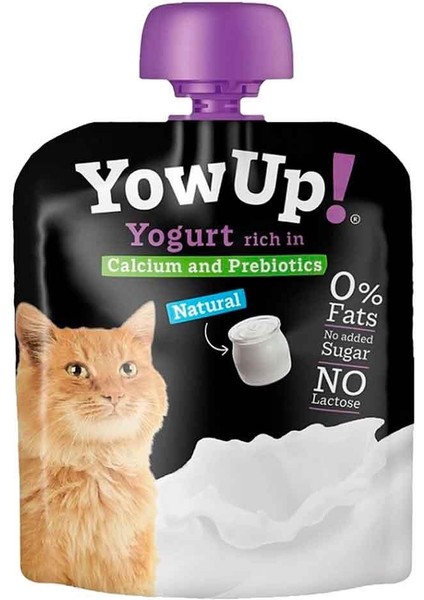 Kalsiyum ve Prebiotikli Laktozsuz Kedi Yoğurdu 85 gr