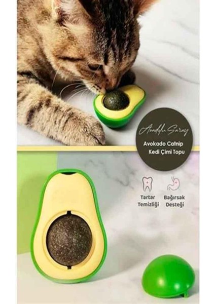 Avokado Catnip Kedi Nanesi Topu