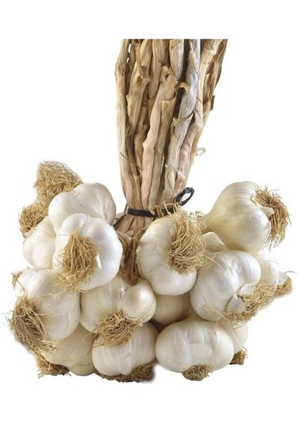 Taşköprü Sarımsağı Duble Boy Sarımsak 1 kg