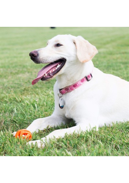 Köpek Oyun Topu Chuckıt! Air Fetch Ball (Orta Boy)