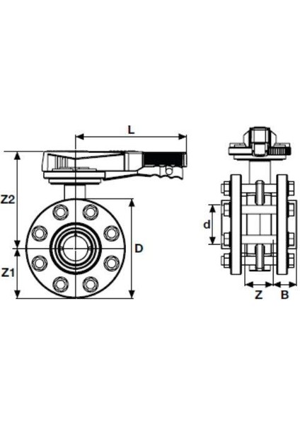Pvc Flanşlı Kelebek Vana ( Ø 125 ) ( 1 Adet )