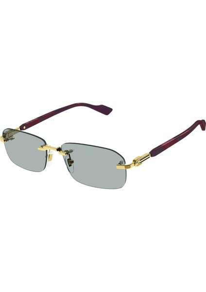 Güneş Gözlüğü GG1221S 003