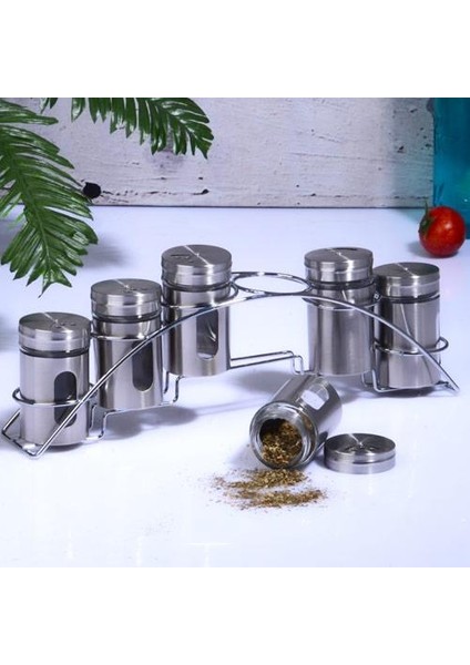 Cam-421 Metal Baharatlık Seti Köprü 6'lı