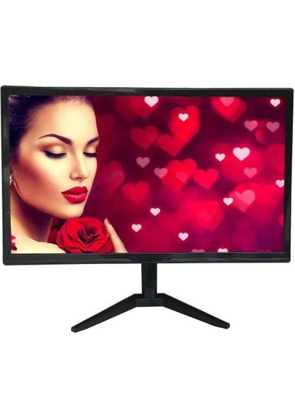 19 Hııtachı Q19HTW Hd 1440X900 3ms 60HZ Hdmı+Vga LED Monıtor