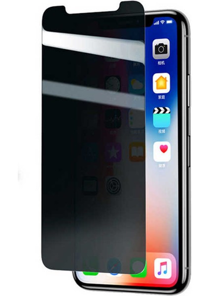 Apple  Apple iPhone Xs 5.8 Hayalet Ekran Koruyucu Tam Kaplayan Gizlilik Filtreli (Rika-Pri)