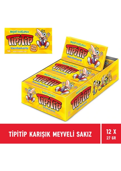 Karışık Meyve Aromalı Sakız 27 gr - 12 Adet